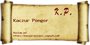 Kaczur Pongor névjegykártya